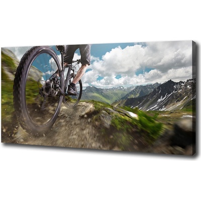 Foto obraz na plátne Horská cyklistika 100x50 cm