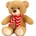Keel Toys Плюшена играчка Keel Toys Keeleco - Мече с шал, 20 cm (SX1925)