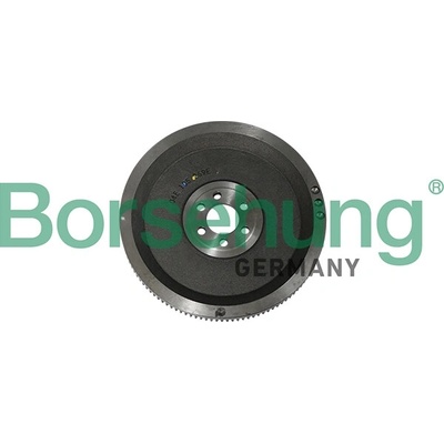 Zotrvačník BORSEHUNG B19306