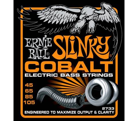 Ernie Ball 2733