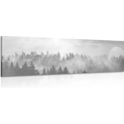 Obraz mlha nad lesem v černobílém provedení - 135x45