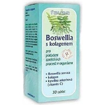 Favea Boswellia s chondroitinem a kolagenem 30 tablet
