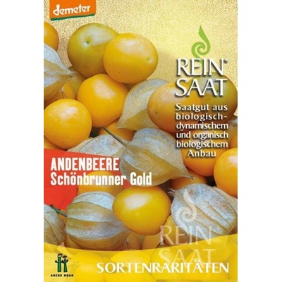 ReinSaat Physalis Schönbrunn Gold 1 bal.