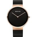 Bering 14539-166
