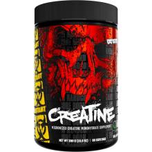 PVL Creatine 300 g