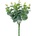 ZÁPICH EUCALYPTUS 31CM
