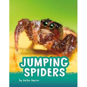 Jumping Spiders | Jaycox, Jaclyn (ISBN: 9781977132987)