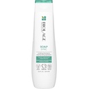 Matrix Biolage ScalpSync Anti Dandruff Shampoo 250 ml
