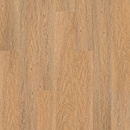 Area Floors Wood Click Rigid 5303 Dub bělený 2,503 m²
