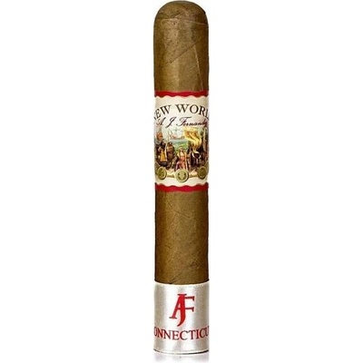 AJ Fernandez New World Connecticut Robusto 1 ks
