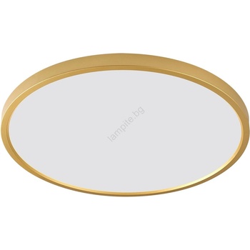 Zuma Line Cami WM-BP1108-S-G