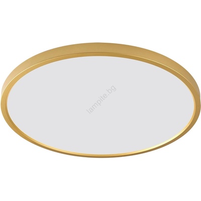 Zuma Line Cami WM-BP1108-S-G