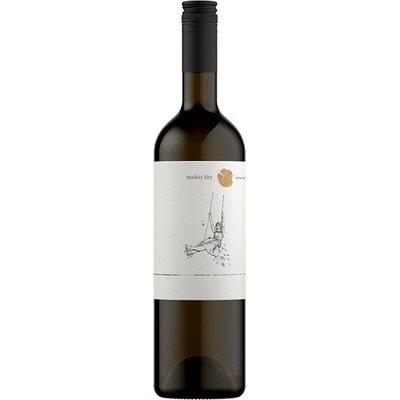 Chateau Rúbaň Muškát žltý suché biele 2023 11,5% 0,75 l (čistá fľaša)
