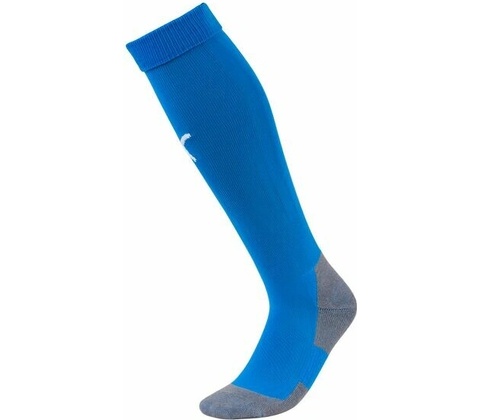 PUMA CORE