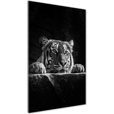 Vertikálny fotoobraz na skle Tiger 50x100 cm