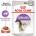 Royal Canin Sterilised Gravy пауч хапки в сос за кастрирани котки над 1 година 85gr