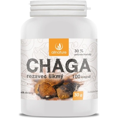 Allnature Chaga Rezavec šikmý 100 kapsúl