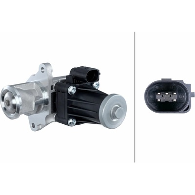 AGR - Ventil HELLA 6NU 014 864-761