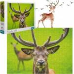 Dodot Puzzles 500 Graceful deer