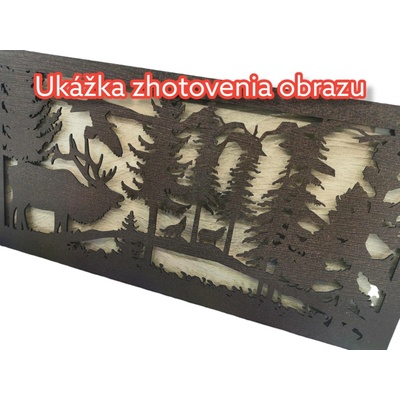 Osvetlený LED obraz na mieru
