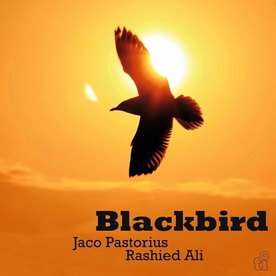 Jaco Pastorius & Rashied Ali - Blackbird (Limited Green Vinyl) - Vinyl LP