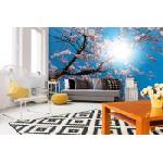 DIMEX ART Самозалепваща се флизелинова фототапета цъфтящо дърво 375 x 250 см