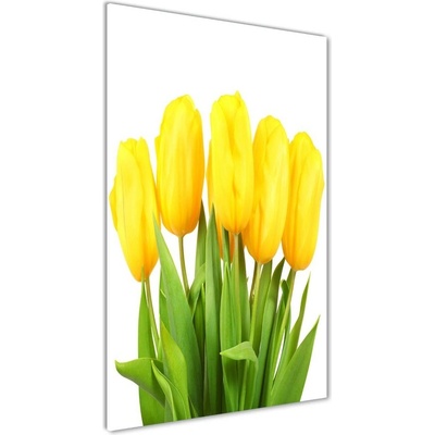 Vertikálny foto obraz sklenený Žlté tulipány 50x100 cm