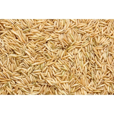 Les fruits du paradis basmati celozrnná rýže BIO 25 kg