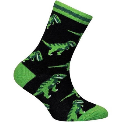 Chlapčenské ponožky T Rex čierna