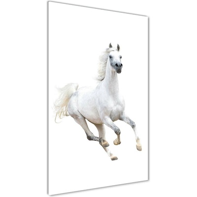 Vertikálny foto obraz fotografie na skle Biely kôň cval 50x100 cm