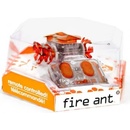Hexbug Ohnivý mravenec červená