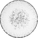 Iittala Чиния Ultima Thule плоска 19 см (1007013)