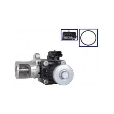 QWP AGR ventil QWP WEG290