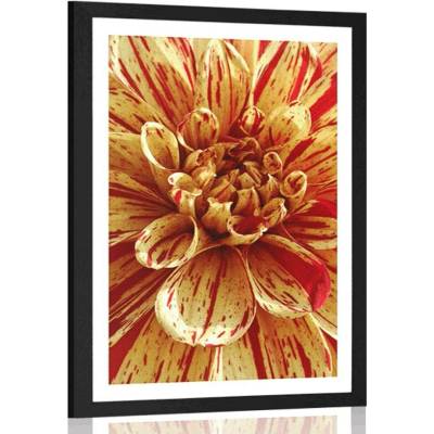 Plakát s paspartou exotická dália - 30x45 silver