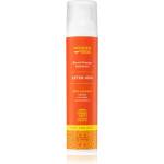 WoodenSpoon After-Sun хидратираща грижа след слънчеви бани 100ml