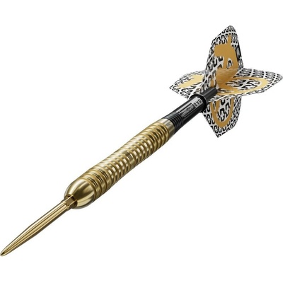 steel Target Bolide Envy 04 21 g SP 90% wolfram