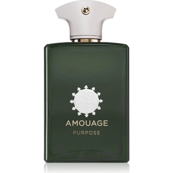 Amouage Purpose EDP 100 ml