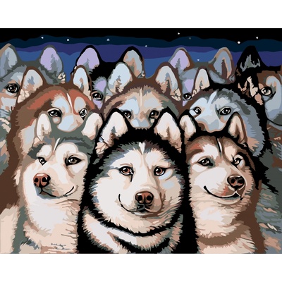 zuty Malování podle čísel Tlupa husky 100 x 80 cm vypnuté plátno na rám
