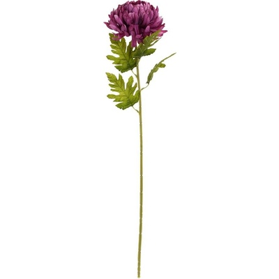 KS CHRYZANTÉMA FIALOVÁ 74CM