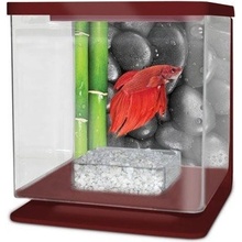 Cat-Gato Betarium Betta kit stones 2 l