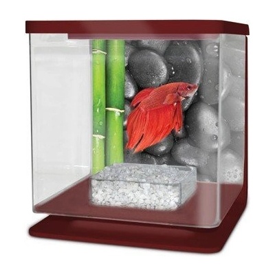 Cat-Gato Betarium Betta kit stones 2 l