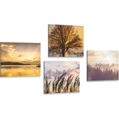 Set obrazů přírodní krásy - 4x 60x60
