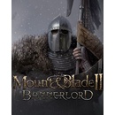 Mount and Blade 2 Bannerlord