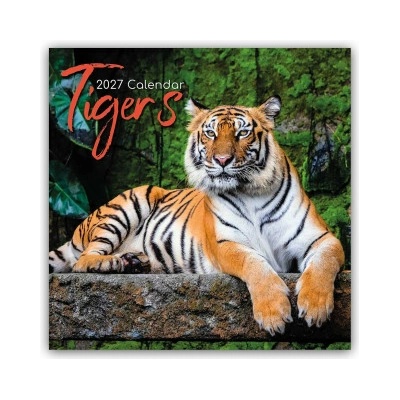 Tigers Tiger 16-Monats 2027