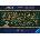 Ravensburger - Puzzle Harry Potter Black Family Tree panorama - 2 000 piese
