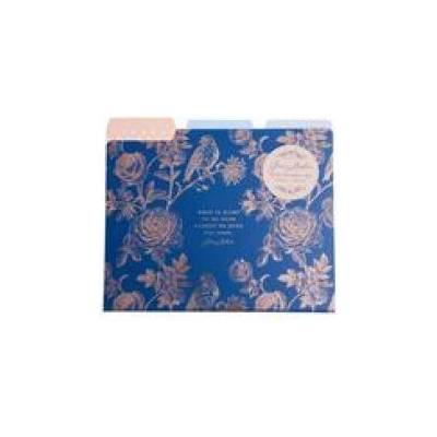 Jane Austen: File Folder Set | Insight Editions