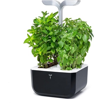 VÉritable (Франция) Настолна домашна градинка Exky® SMART Garden - цвят черен и инокс (VEXK-SSBAS-FR-41)