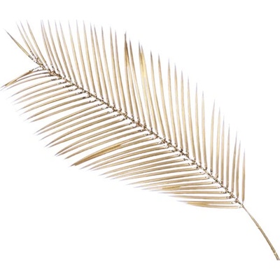 neuvedené Umelý list palmy Cycas 12 x 34 cm zlatý