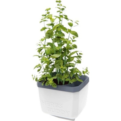 Gusta Garden GG-124F10