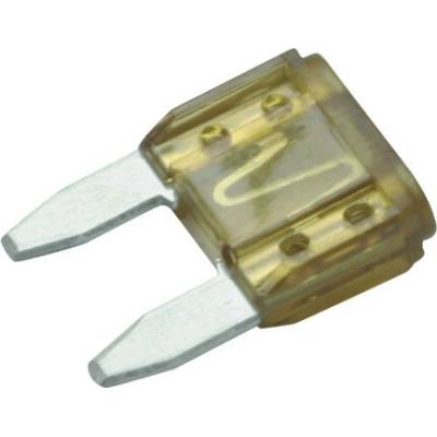 Poistka BOSCH 1 987 529 028